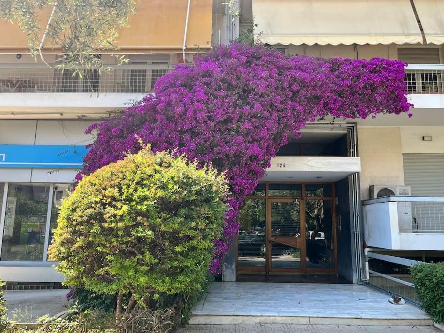 Debonair 1 Bedroom Premium Haven In